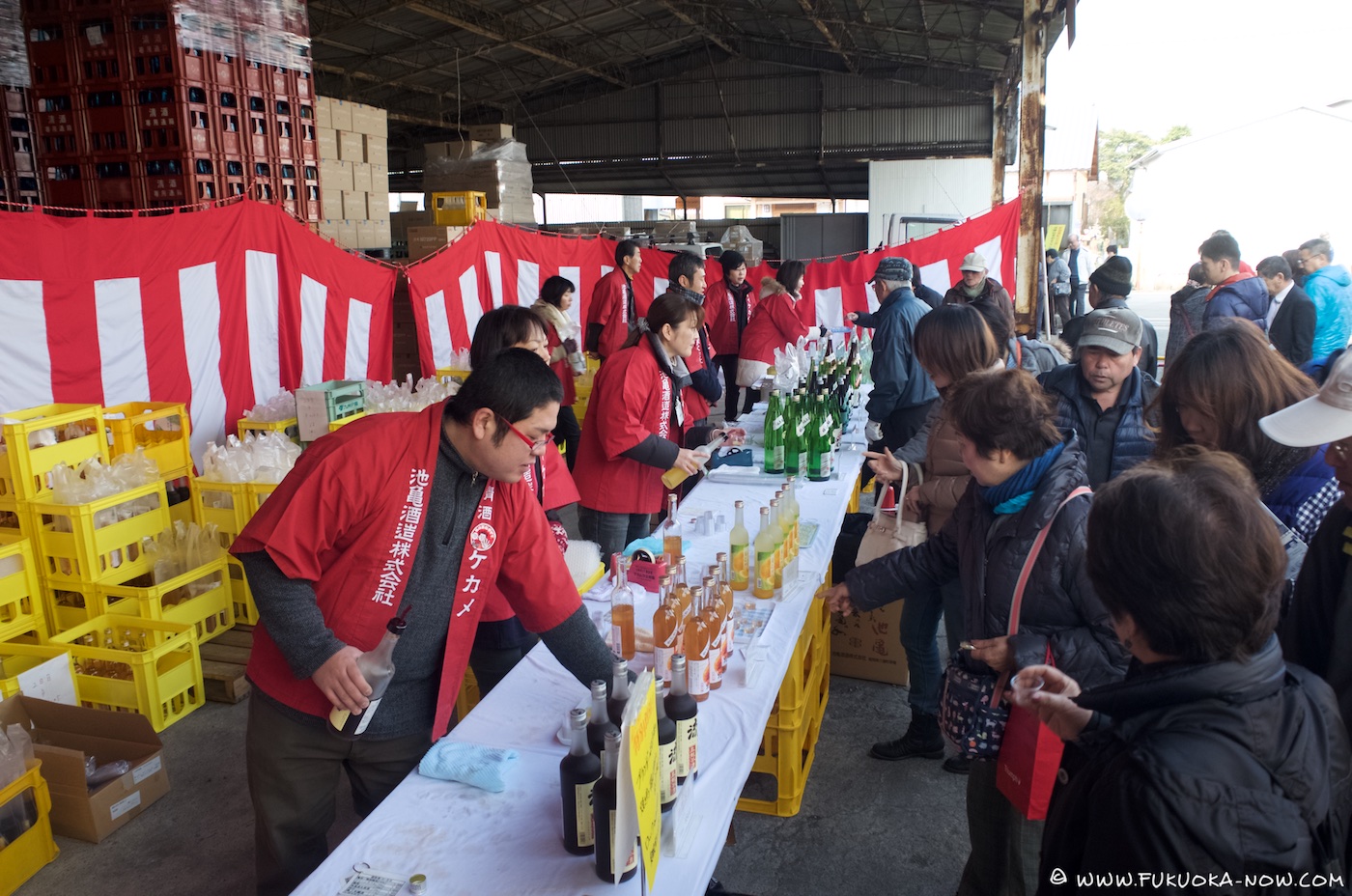 城島酒蔵びらきガイド18 Fukuoka Now