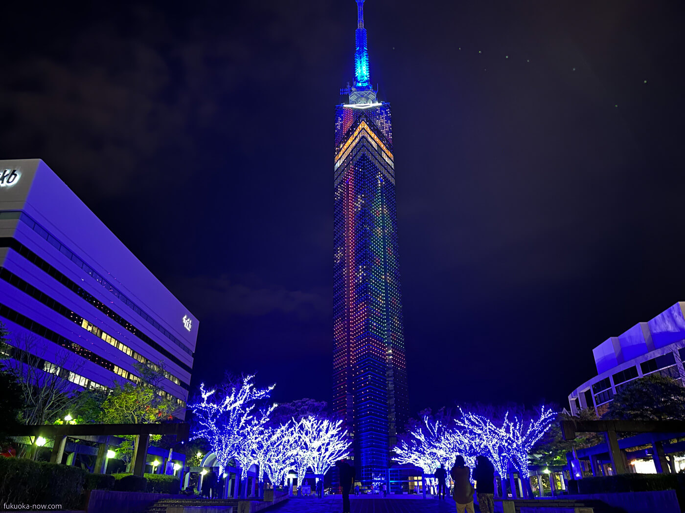 Momochi Now – フォトジェニックな街、シーサイドももち