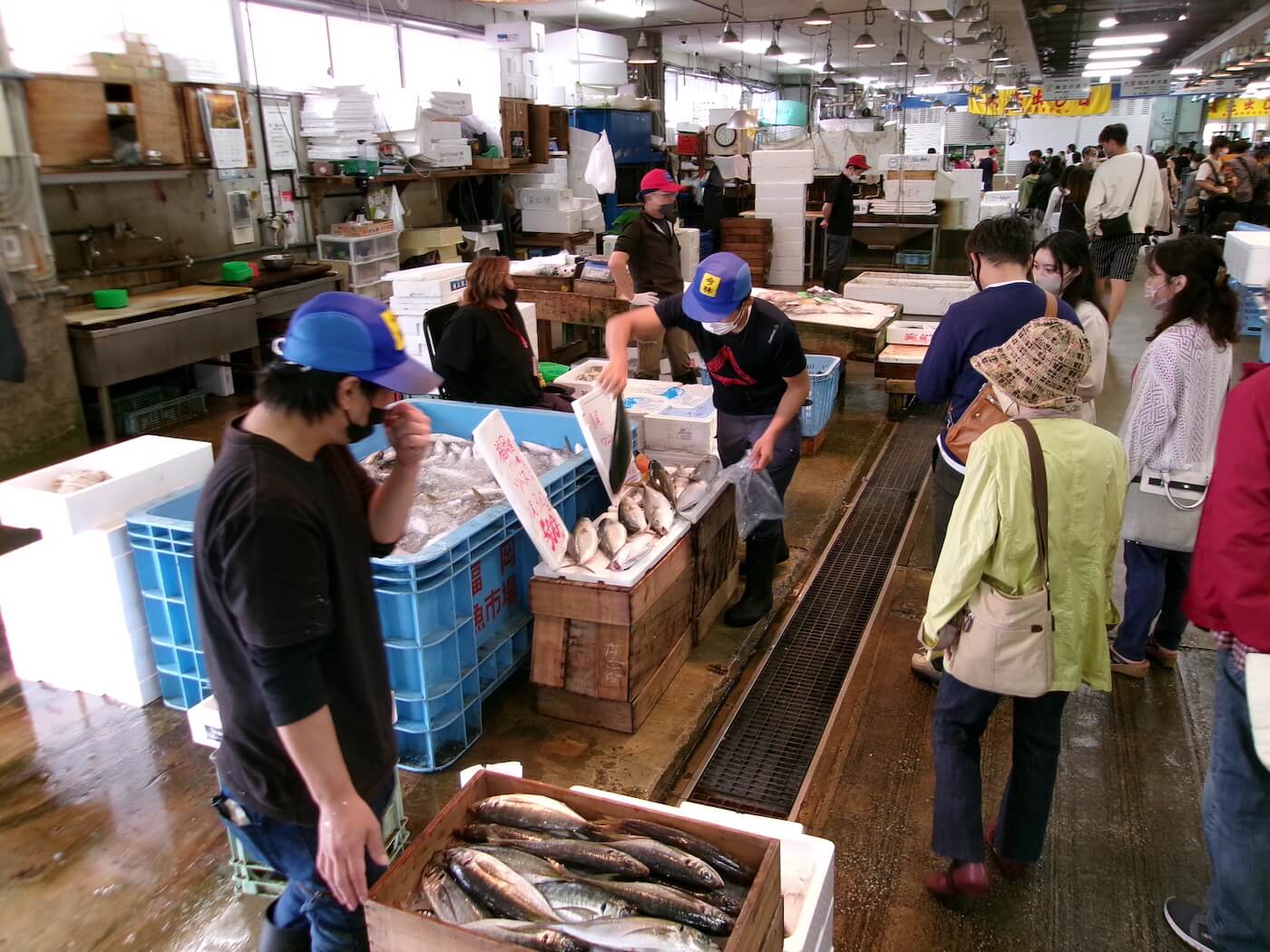 Nagahama Fish Market Citizen's Day | Fukuoka Now