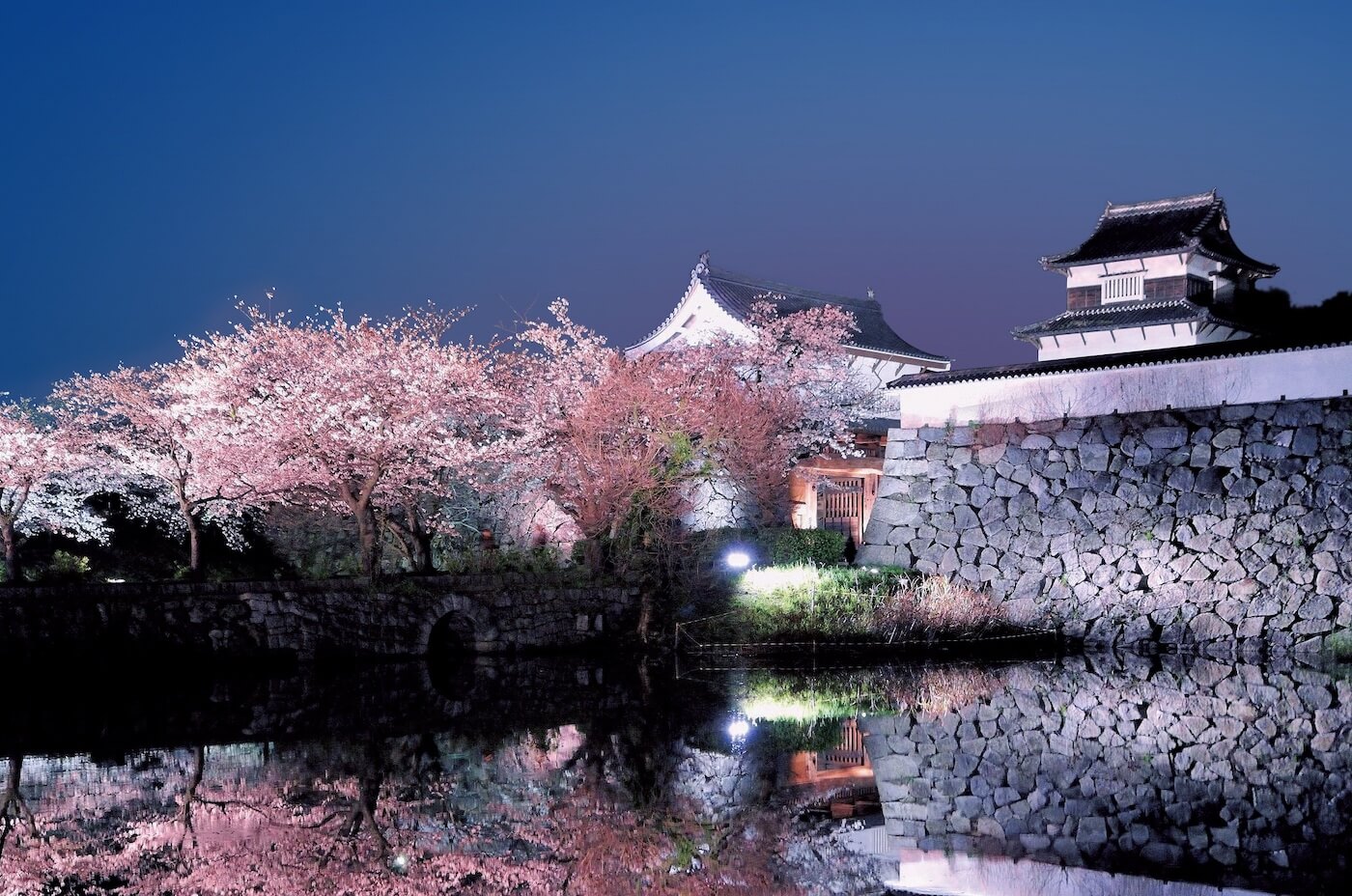 Fukuoka Castle Sakura Festival, 福岡城さくらまつり