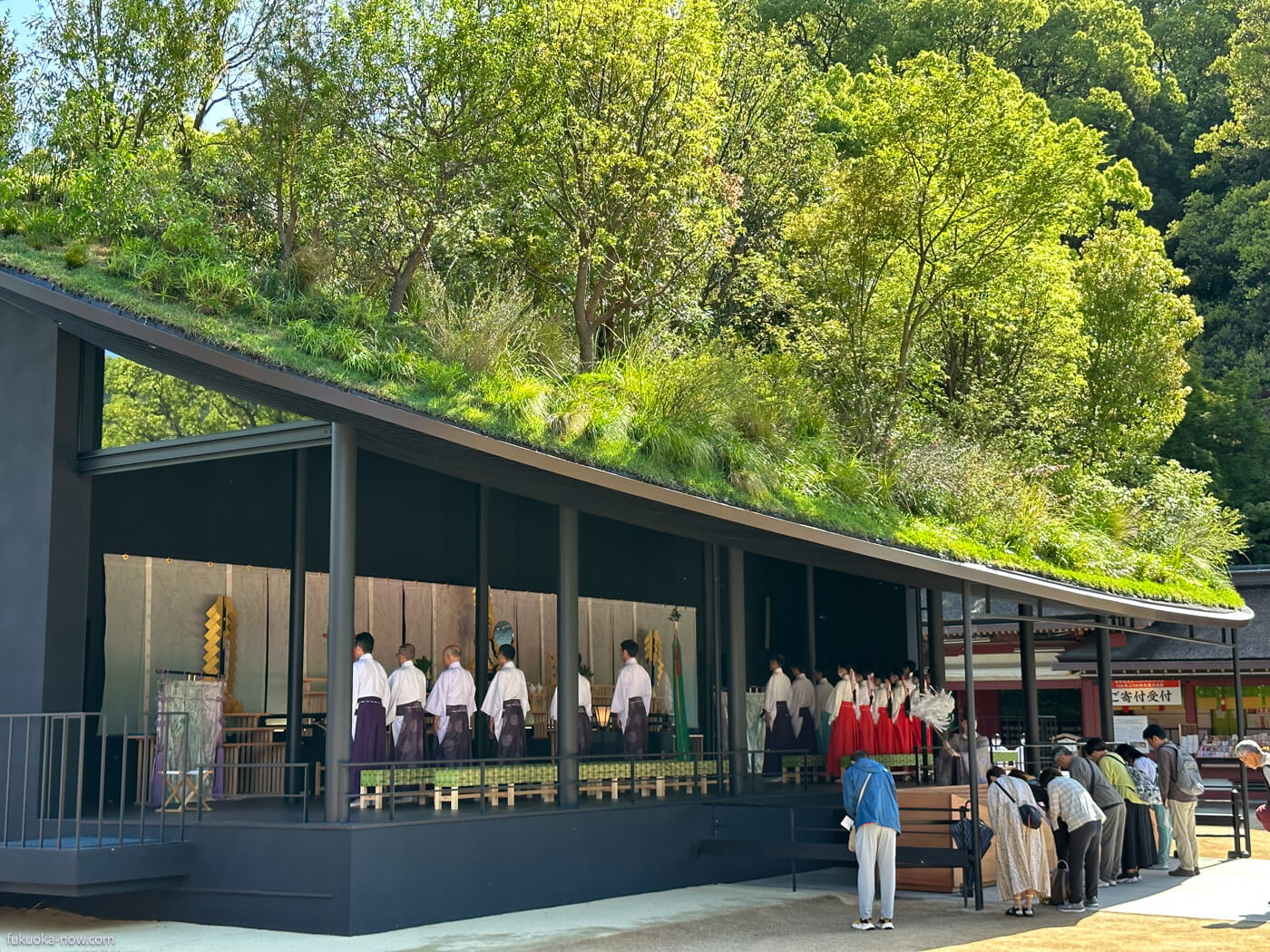 A Floating Forest: The Temporary Shrine Amidst Renovation at Dazaifu Tenmangu, 太宰府天満宮、御本殿大改修に伴う「仮殿」を建設