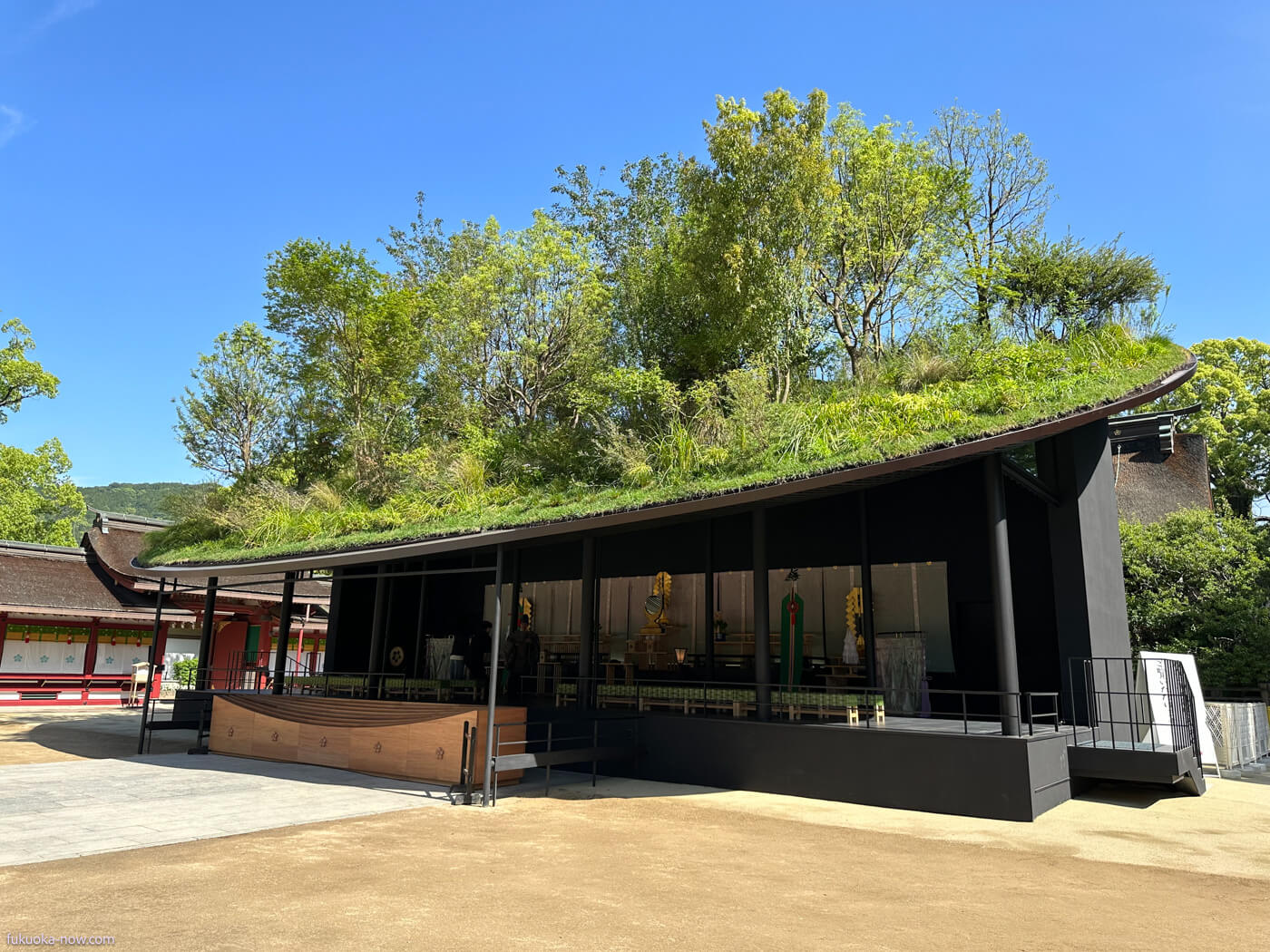 A Floating Forest: The Temporary Shrine Amidst Renovation at Dazaifu Tenmangu, 太宰府天満宮、御本殿大改修に伴う「仮殿」を建設