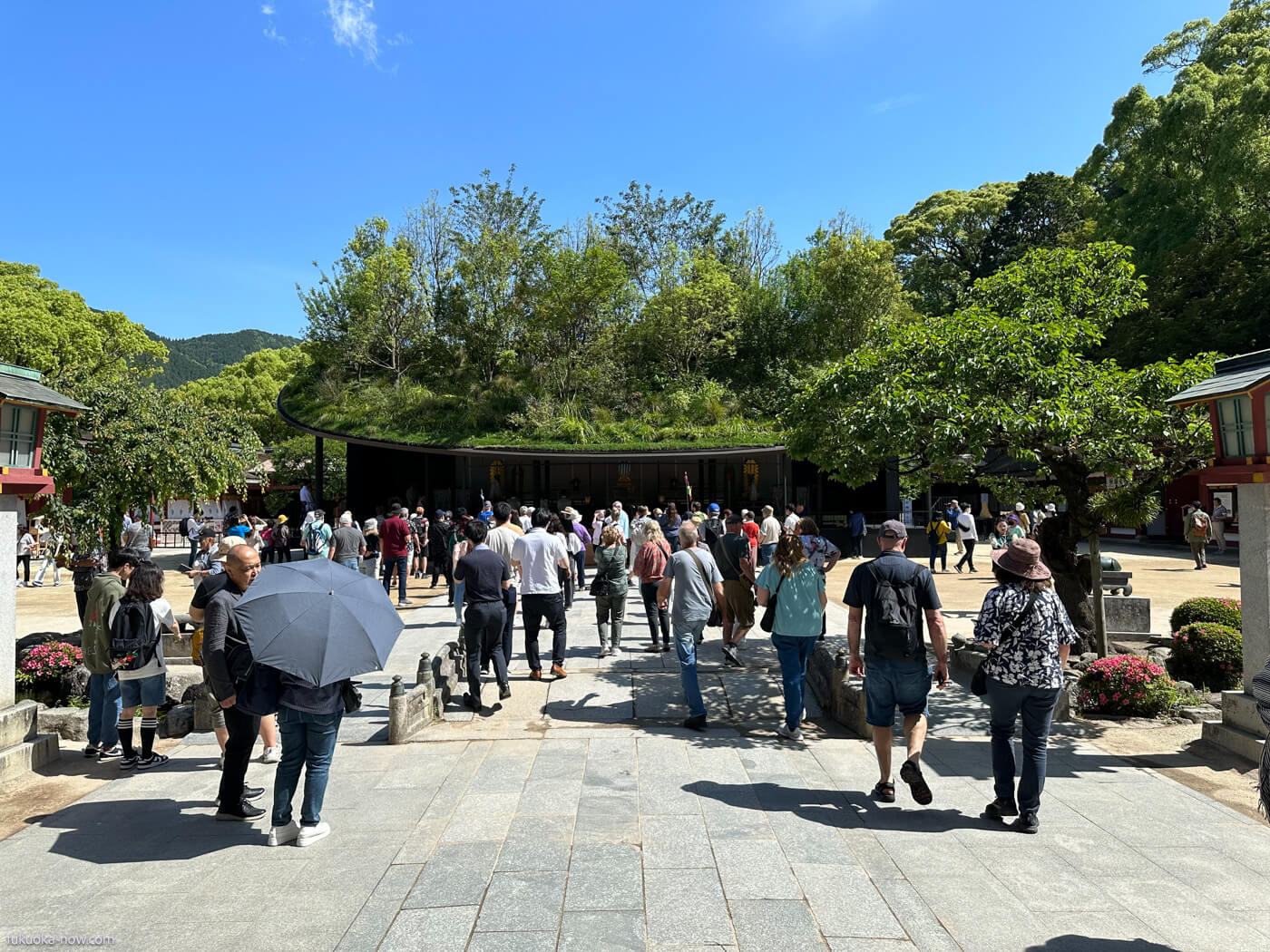 A Floating Forest: The Temporary Shrine Amidst Renovation at Dazaifu Tenmangu, 太宰府天満宮、御本殿大改修に伴う「仮殿」を建設