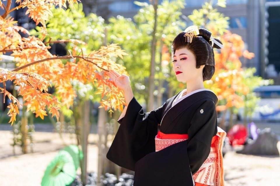 Experiencing Life as a Hakata Geisha in the Heart of Fukuoka, 博多芸妓になってみました - 体験レポート