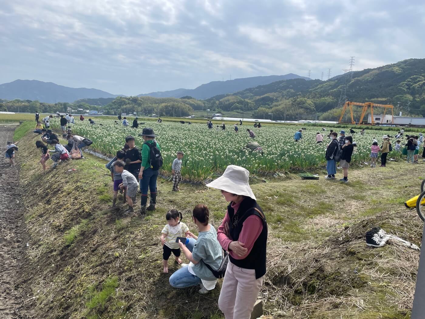 4th Itoshima Negi Festival: Celebration of Itoshima Green Onions, 糸島ねぎの祭典 第4回Itoshima Negiフェス