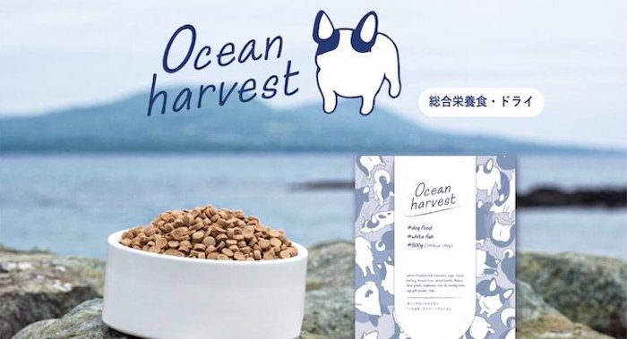 View of Fukuoka Startup Develops Dog Food from Invasive Fish Species | Fukuoka Now