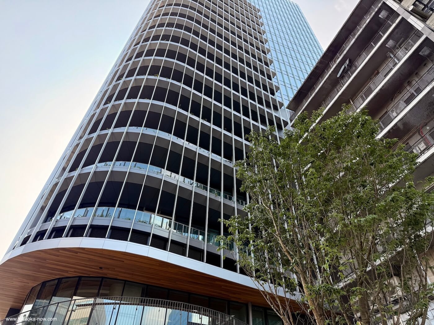 Fukuoka Opens Tallest Tower In Tenjin Redevelopment | Fukuoka Now
