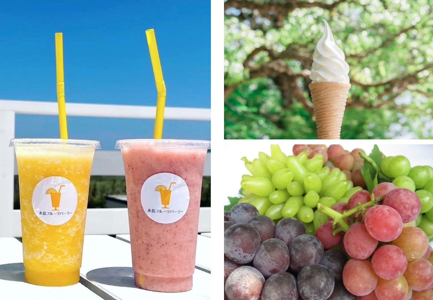 15th Fukuoka Organic Marche